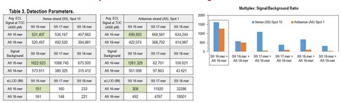 Shortened probes were multiplexed in combinations, in a single well, to simultaneously detect both siRNA strands. The SS 16-mer